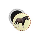 Clydesdale 1.75  Magnet