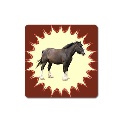Clydesdale Magnet (Square) from ArtsNow.com Front