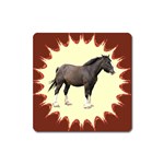 Clydesdale Magnet (Square)