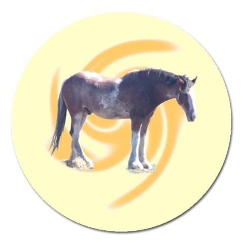 Clydesdale 2 Magnet 5  (Round) from ArtsNow.com Front