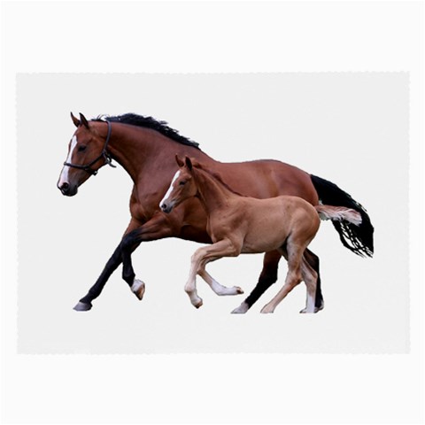 Mare n foal Glasses Cloth (Large) from ArtsNow.com Front