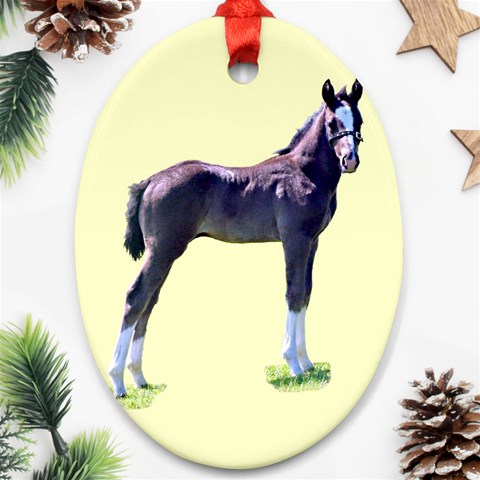 Foal Ornament (Oval) from ArtsNow.com Front