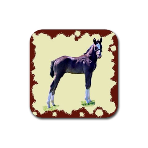 Foal Rubber Coaster (Square) from ArtsNow.com Front