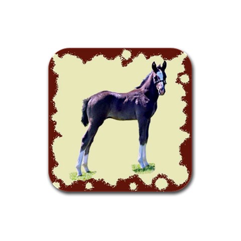 Foal Rubber Square Coaster (4 pack) from ArtsNow.com Front