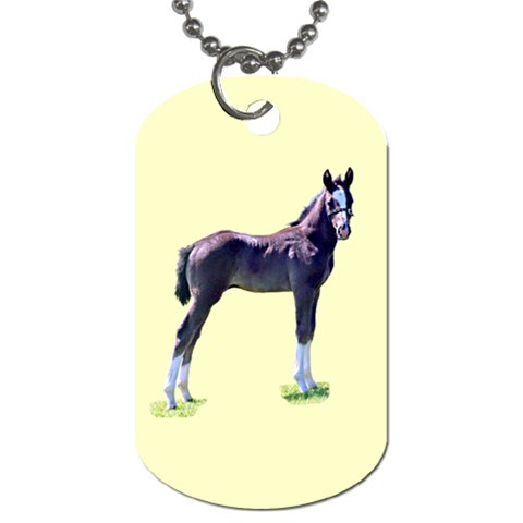 Foal Dog Tag (One Side) from ArtsNow.com Front