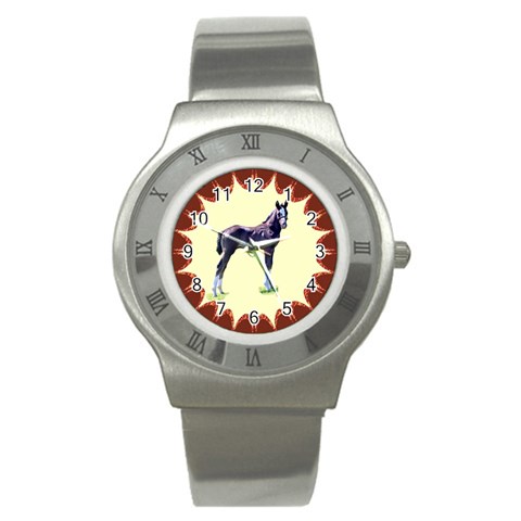 Foal Stainless Steel Watch from ArtsNow.com Front