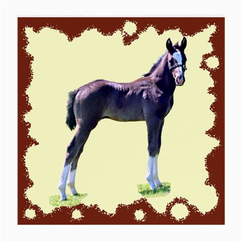 Foal Glasses Cloth (Medium) from ArtsNow.com Front