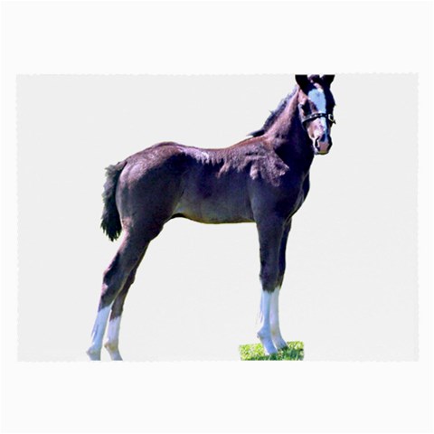 Foal Glasses Cloth (Large) from ArtsNow.com Front