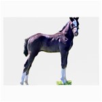Foal Glasses Cloth (Large)