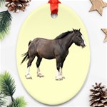 Clydesdale Ornament (Oval)