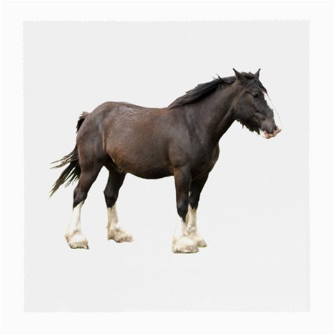 Clydesdale Glasses Cloth (Medium) from ArtsNow.com Front