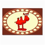 Camel Postcards 5  x 7  (Pkg of 10)