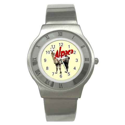 Alpaca Stainless Steel Watch from ArtsNow.com Front