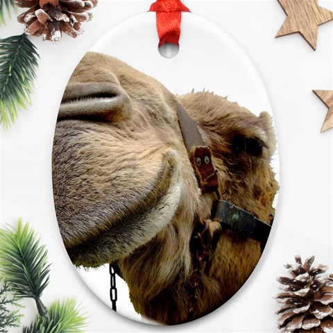 Camel head Ornament (Oval) from ArtsNow.com Front