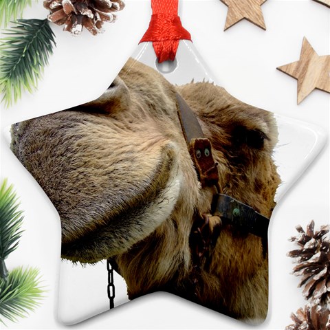 Camel head Ornament (Star) from ArtsNow.com Front