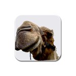 Camel head Rubber Square Coaster (4 pack)