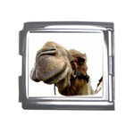 Camel head Mega Link Italian Charm (18mm)