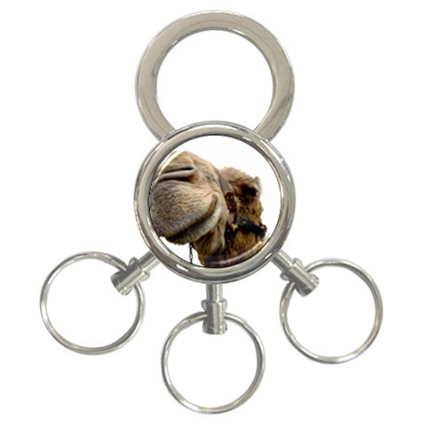Camel head 3 Front