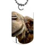 Camel head Dog Tag (One Side)