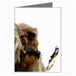 Camel head Greeting Card