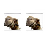 Camel head Cufflinks (Square)