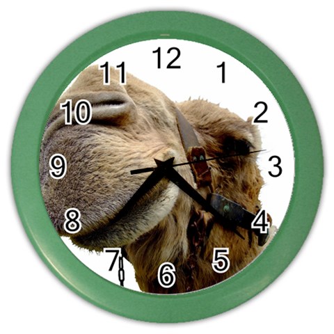 Camel head Color Wall Clock from ArtsNow.com Front