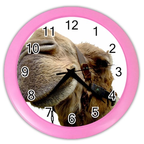 Camel head Color Wall Clock from ArtsNow.com Front