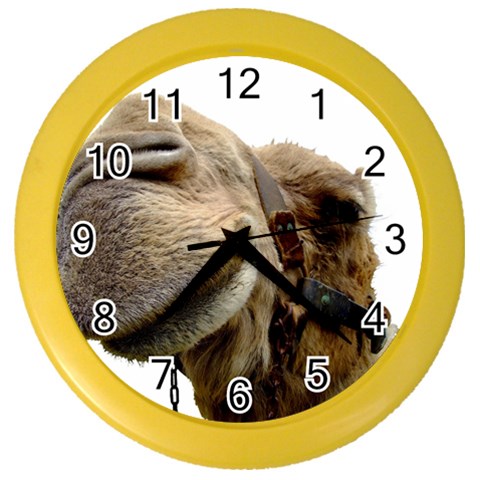 Camel head Color Wall Clock from ArtsNow.com Front