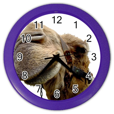 Camel head Color Wall Clock from ArtsNow.com Front