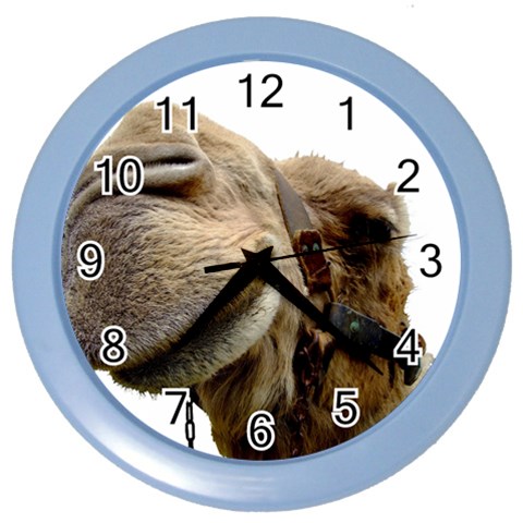Camel head Color Wall Clock from ArtsNow.com Front