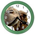Camel head Color Wall Clock