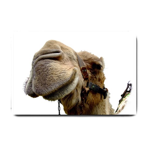 Camel head Small Doormat from ArtsNow.com 24 x16  Door Mat