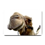Camel head Small Doormat