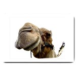 Camel head Large Doormat