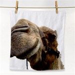 Camel head Face Towel