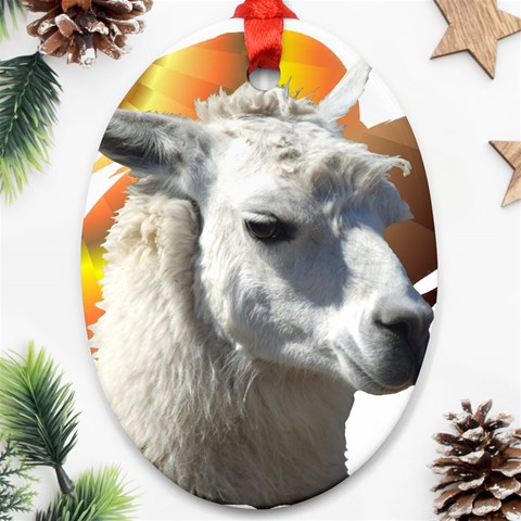 Llama head Ornament (Oval) from ArtsNow.com Front