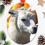 Llama head Ornament (Oval)