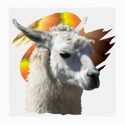 Llama head Glasses Cloth (Medium) from ArtsNow.com Front