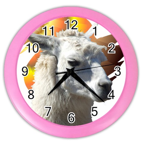 Llama head Color Wall Clock from ArtsNow.com Front