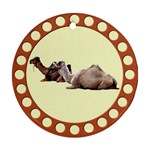 Sitting camels Ornament (Round)
