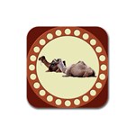 Sitting camels Rubber Square Coaster (4 pack)