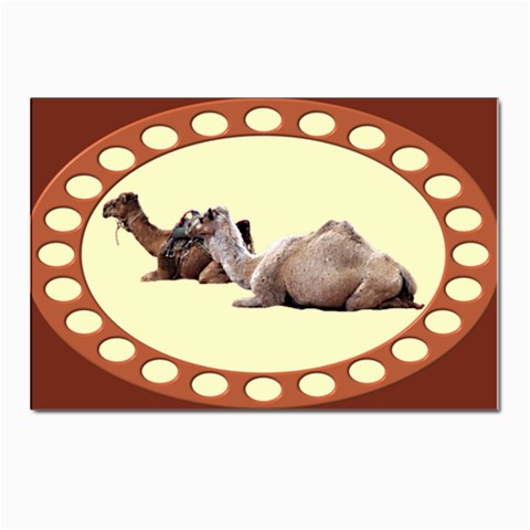 Sitting camels Postcard 4 x 6  (Pkg of 10) from ArtsNow.com Front