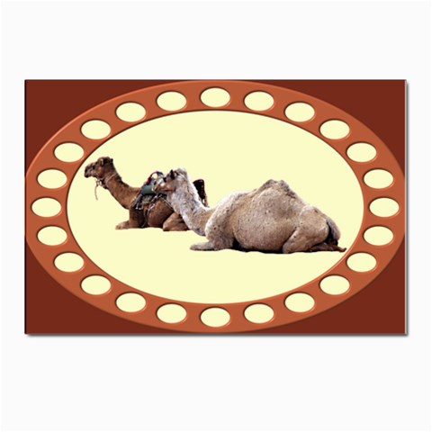 Sitting camels Postcards 5  x 7  (Pkg of 10) from ArtsNow.com Front