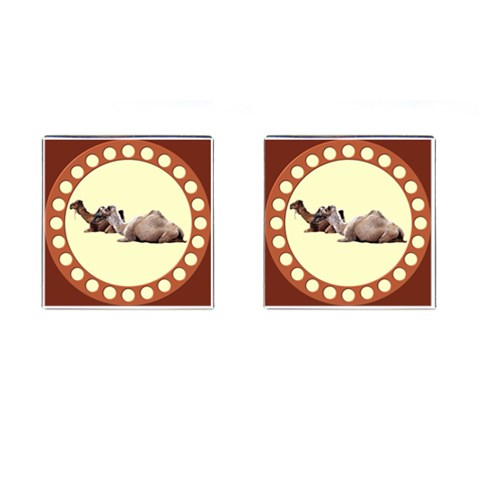 Sitting camels Cufflinks (Square) from ArtsNow.com Front(Pair)