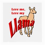 Love my llama Glasses Cloth (Medium)