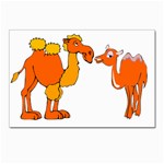 Camel love Postcard 5  x 7 