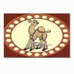 Cute camel Postcard 4  x 6 
