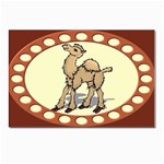 Cute camel Postcards 5  x 7  (Pkg of 10)