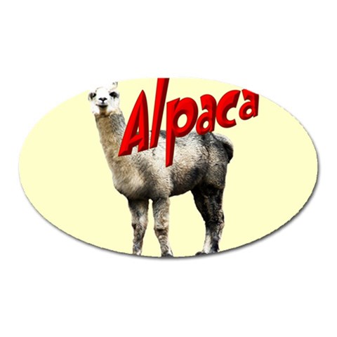 Alpaca Magnet (Oval) from ArtsNow.com Front