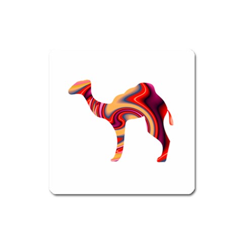 funky camel Magnet (Square) from ArtsNow.com Front